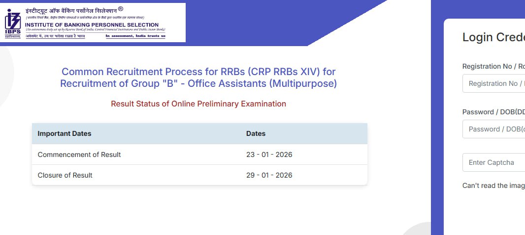 IBPS RRB Clerk Prelims Result Out 2025-26 !! Check your Qualification status  check now :- https://ibpsreg.ibps.in/rrbxivaug25/oecla_jan26/login.php?appid=c0c6661a4727c404664bc866dcd37019